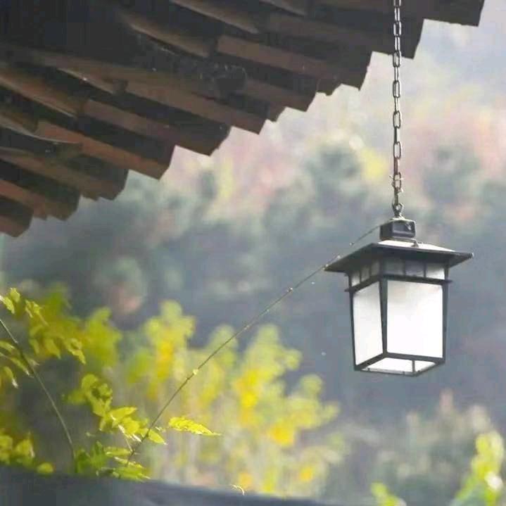 陌上烟雨笑红尘