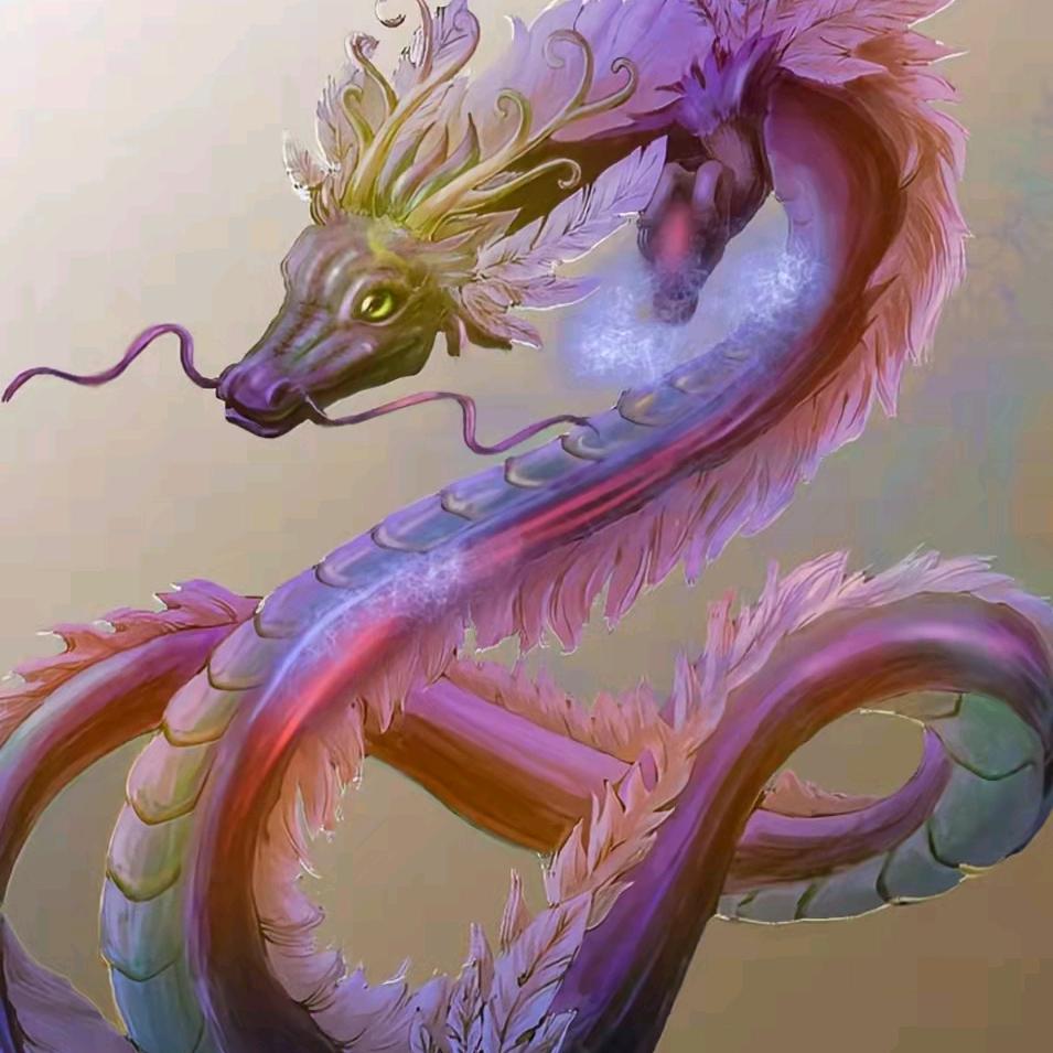 小龙飞舞