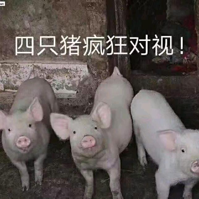 深山老林(*¯︶¯*)