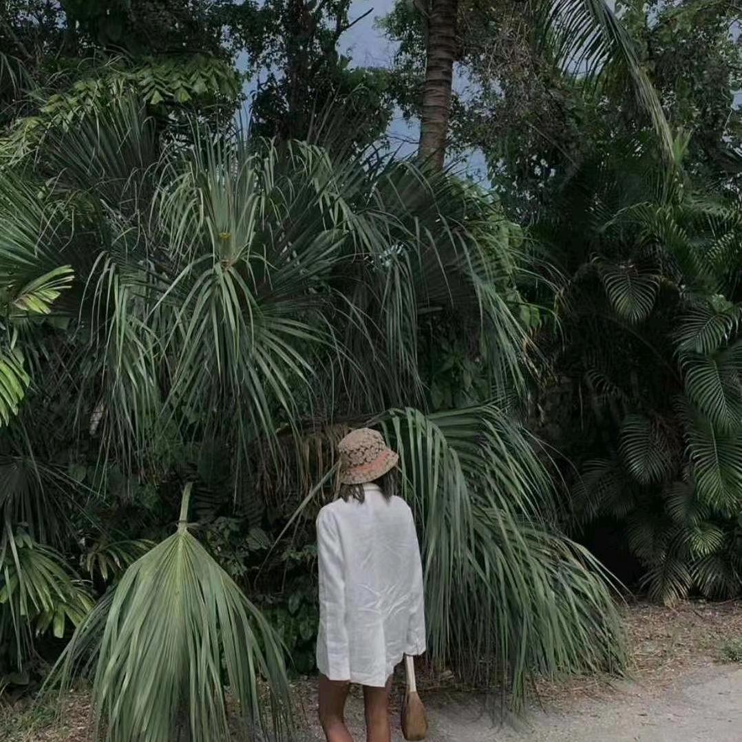 樱縼沫羽