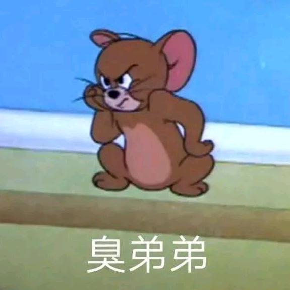 一条大鱼🐟