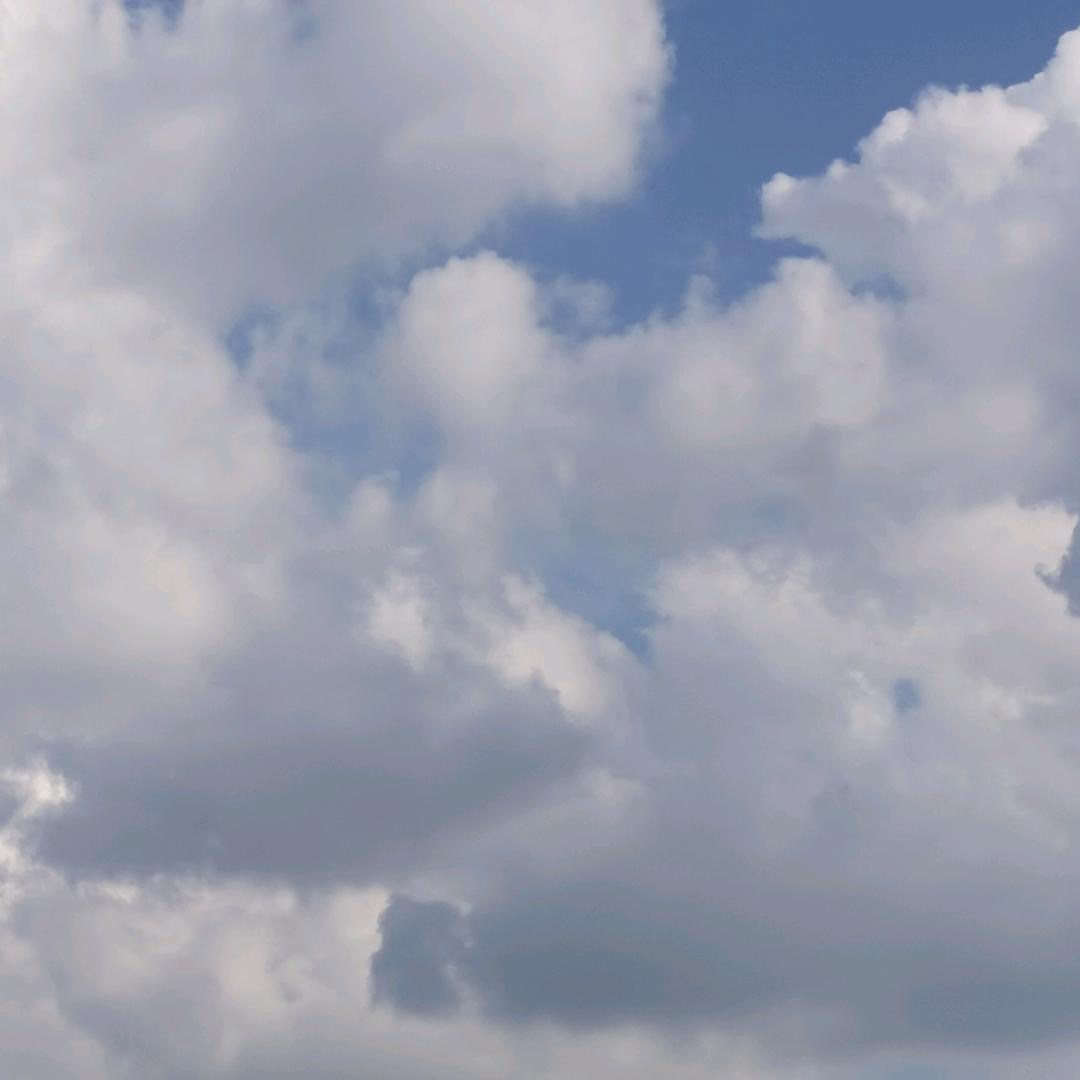 小小花样