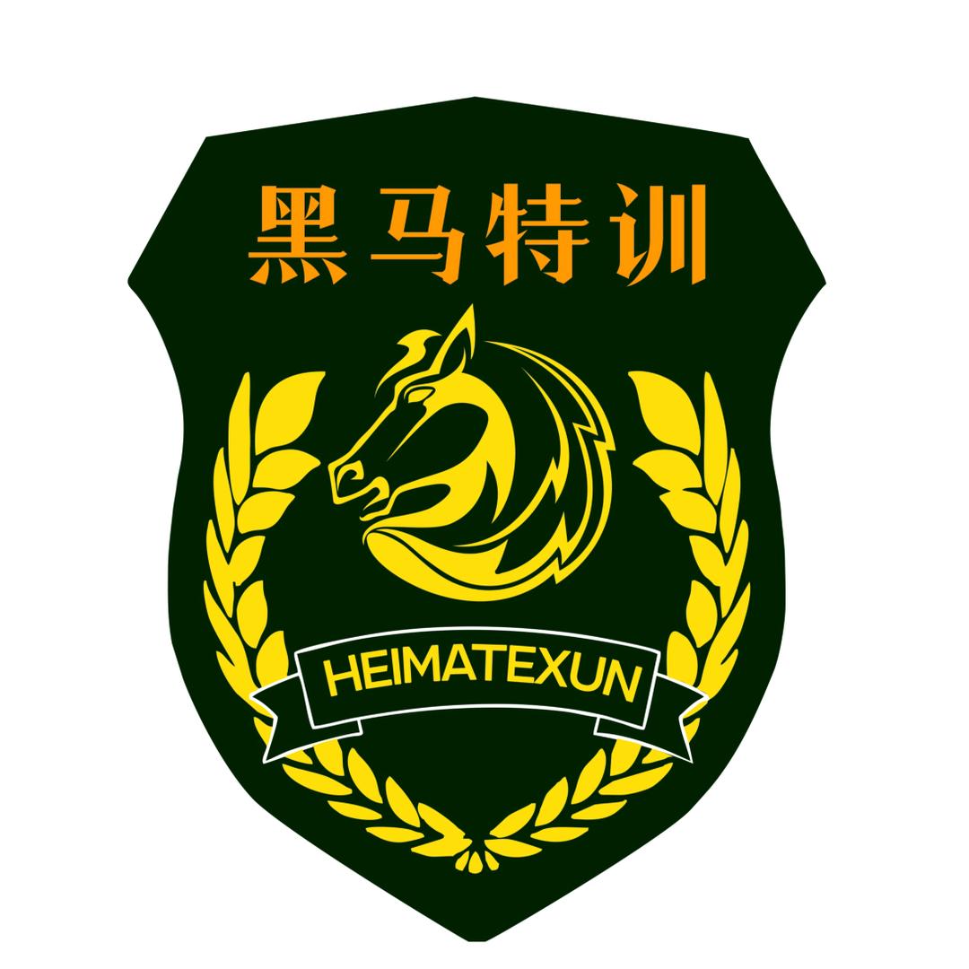 重庆黑马特训营
