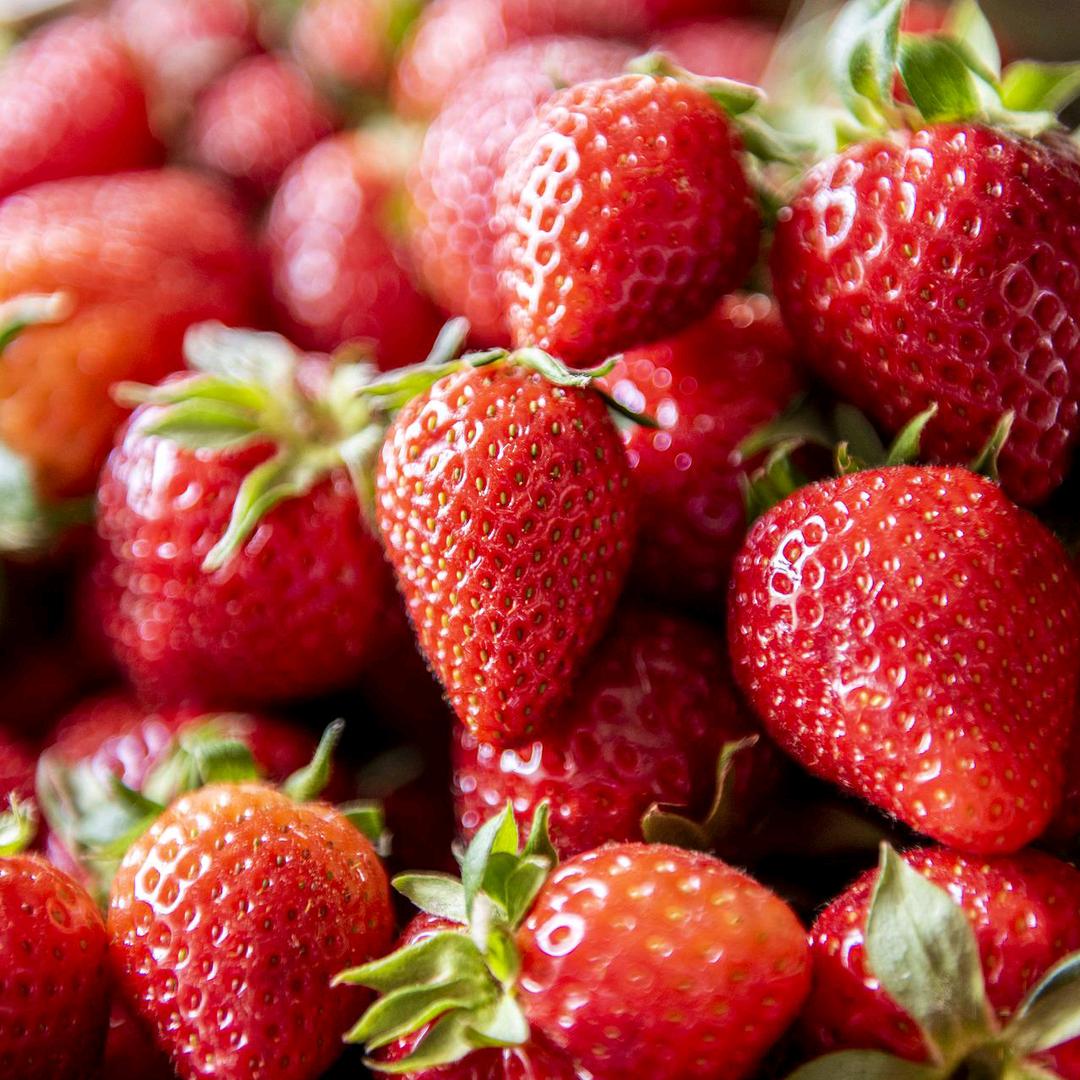 油菜坪奶油草莓园