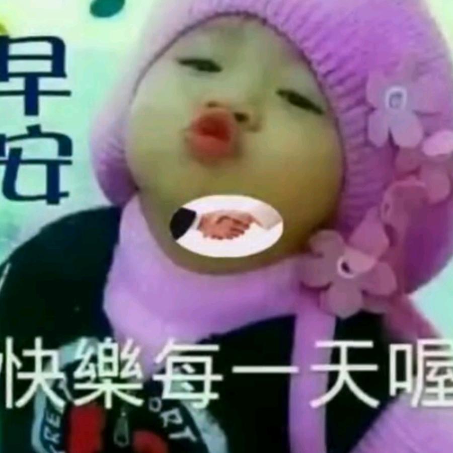 阳光的鼠宝宝