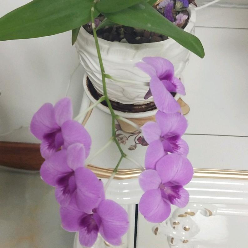 玉泉区冰河时代台球俱乐部