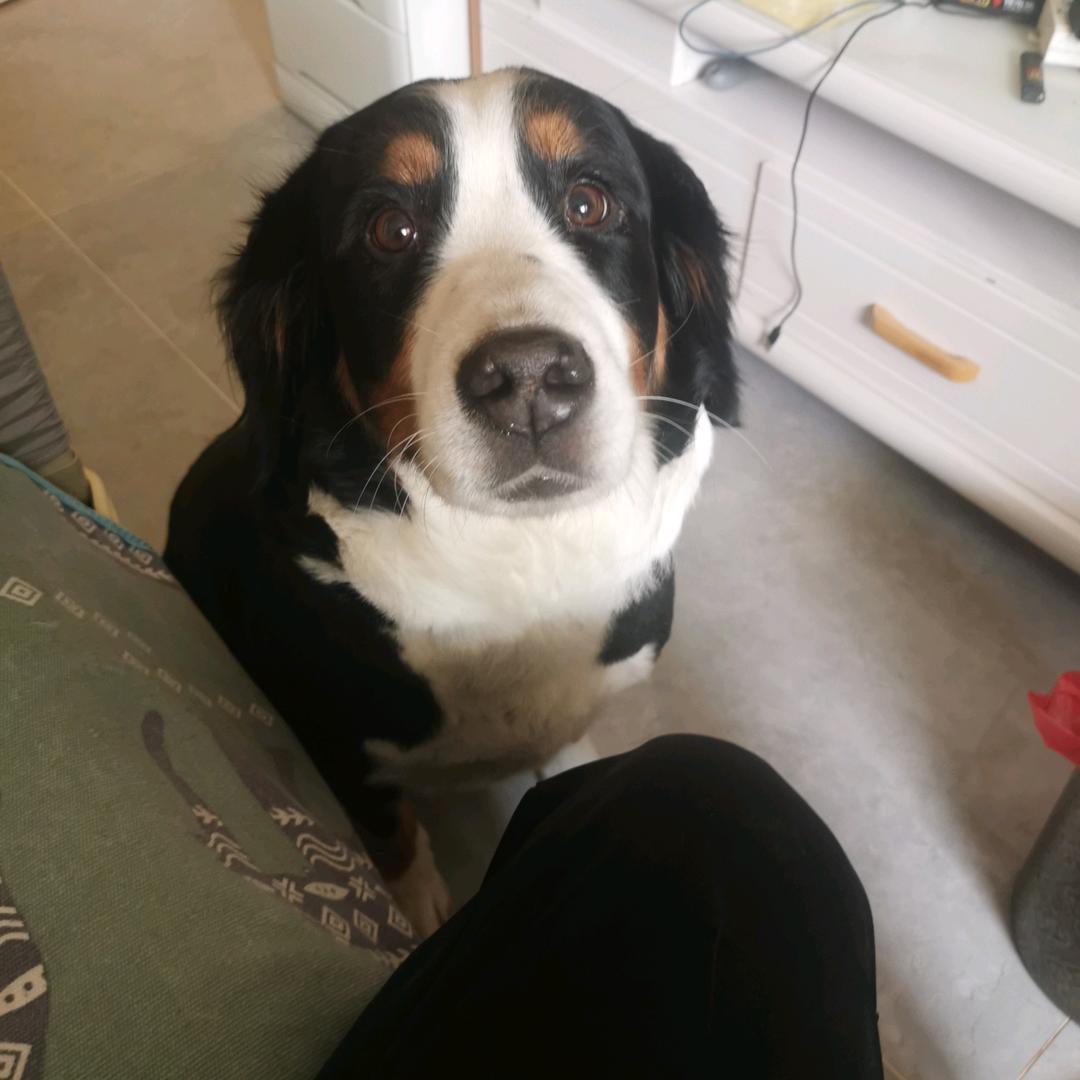 ★我与赌毒不共戴天★