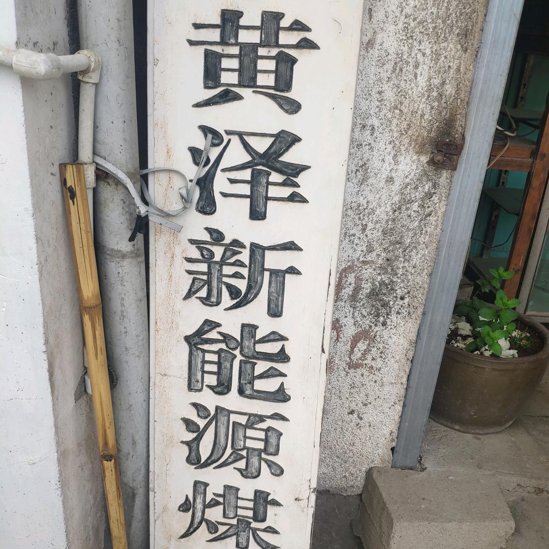 竺君