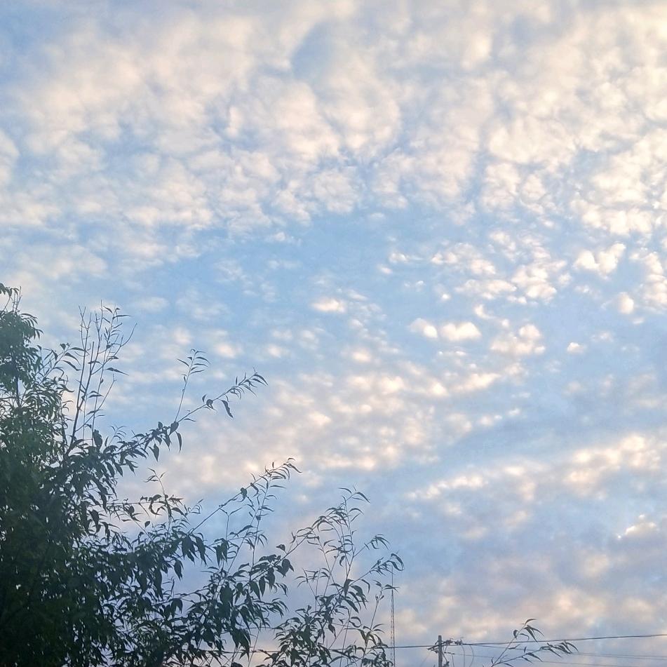 🌞🌞🌞翘亮哇🤡🤡🤡🤡🤡