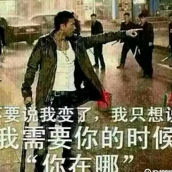 用户温柔的狼