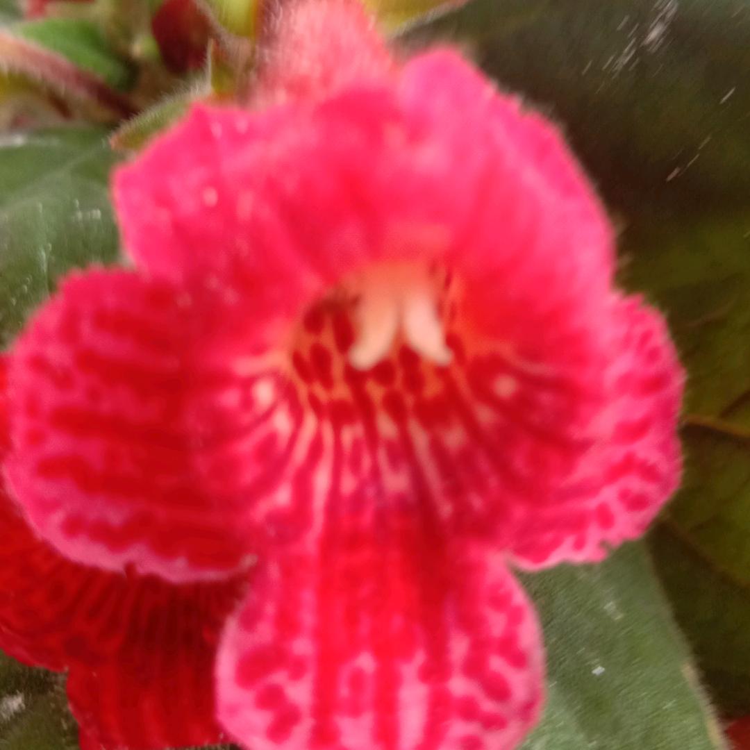 এ᭄༊幸福💕满满ღꦿ࿐