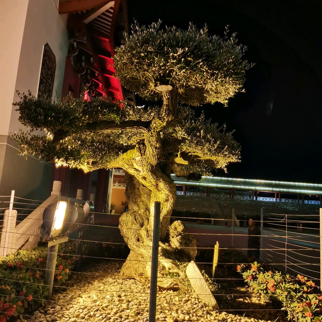 彭程万里