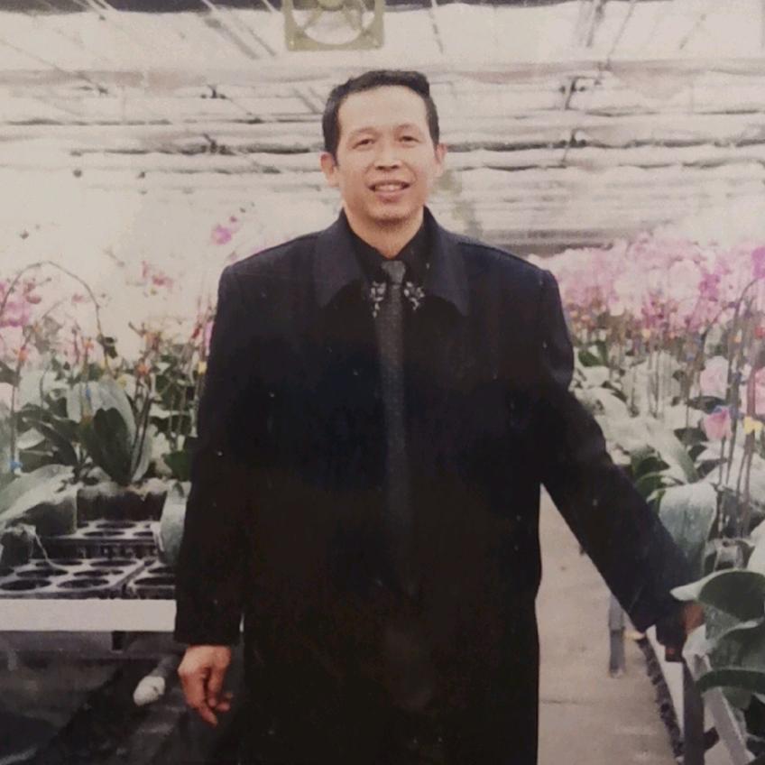 兰花