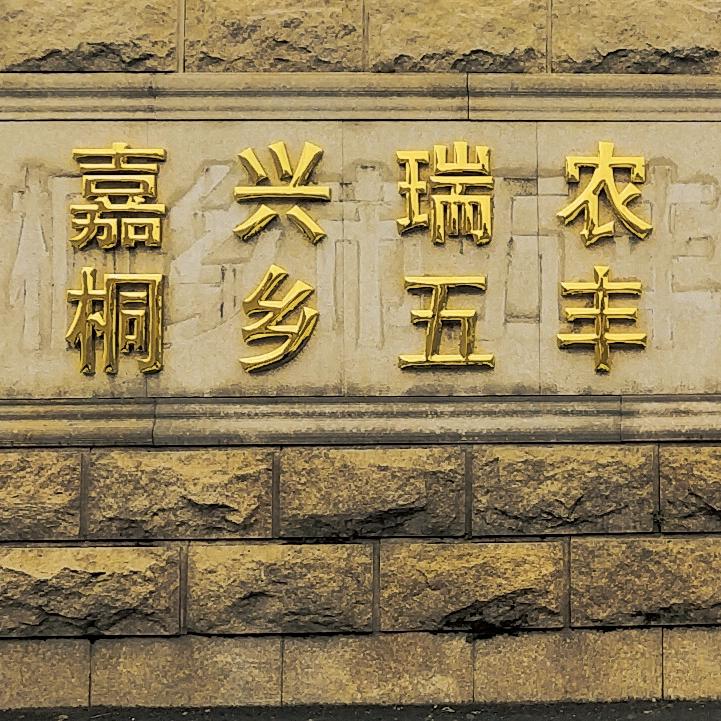 腾龙悦虎