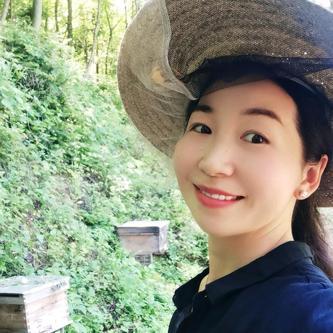 一只小蜜蜂