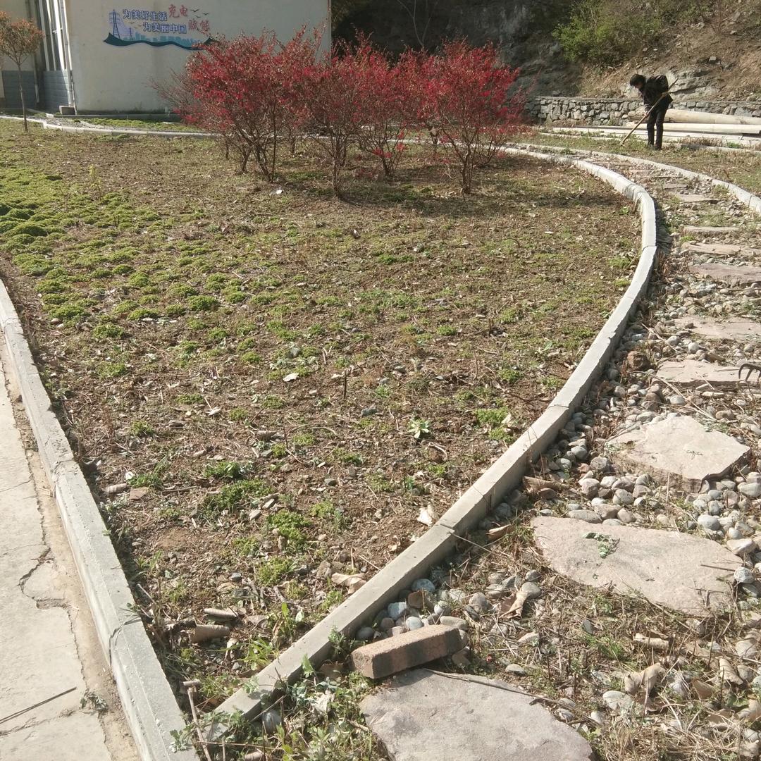 小公主