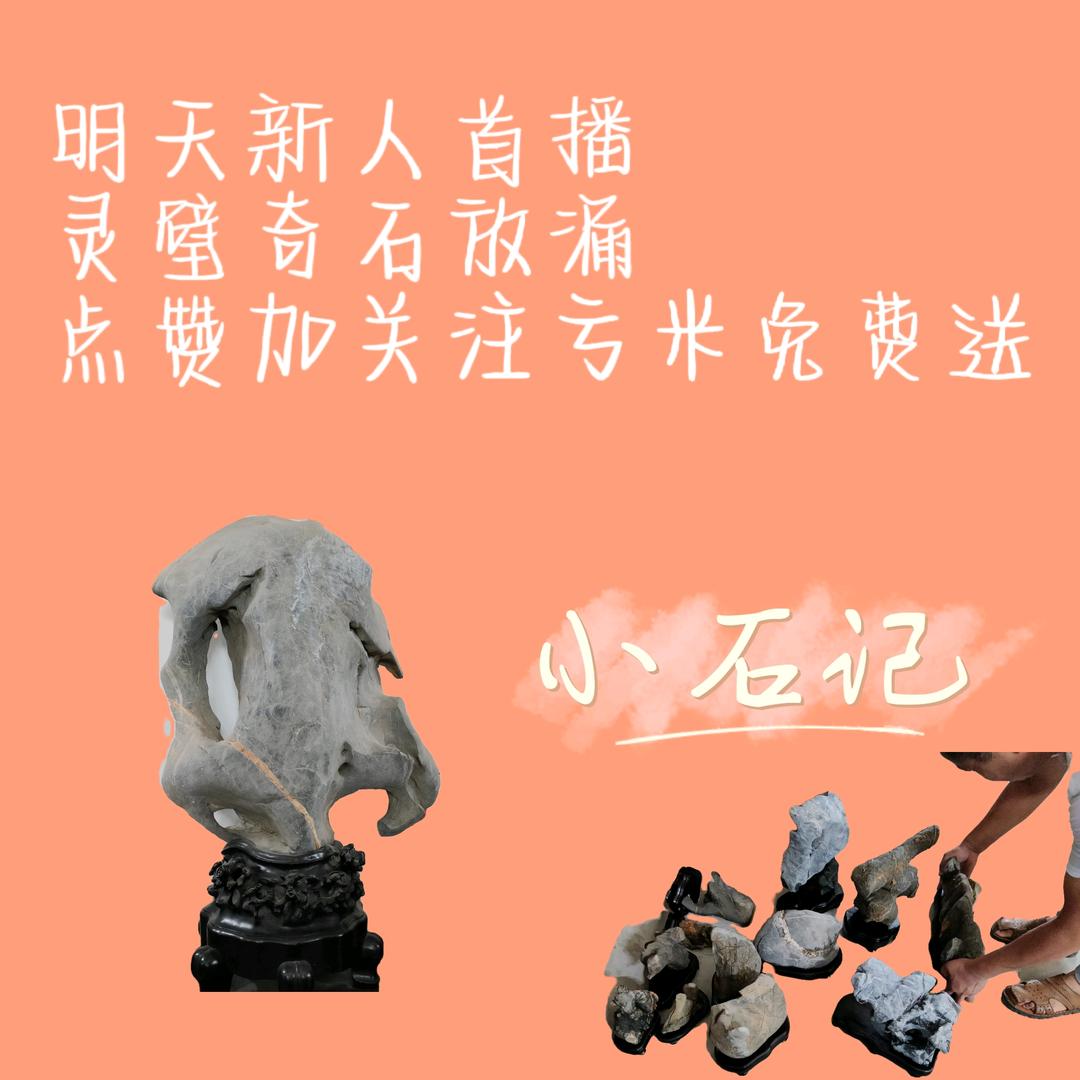石头记-灵璧奇石