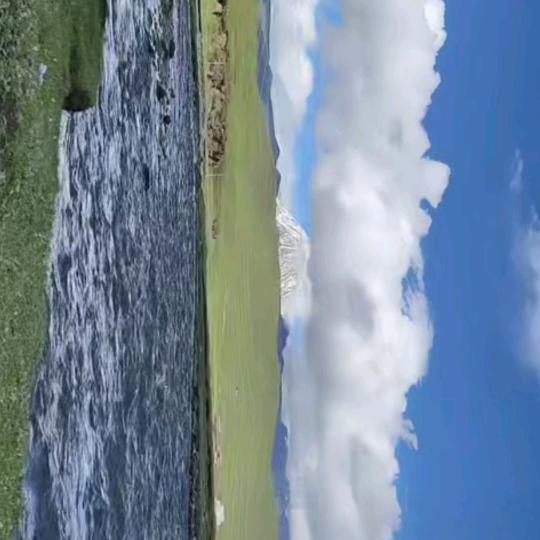 黑哥