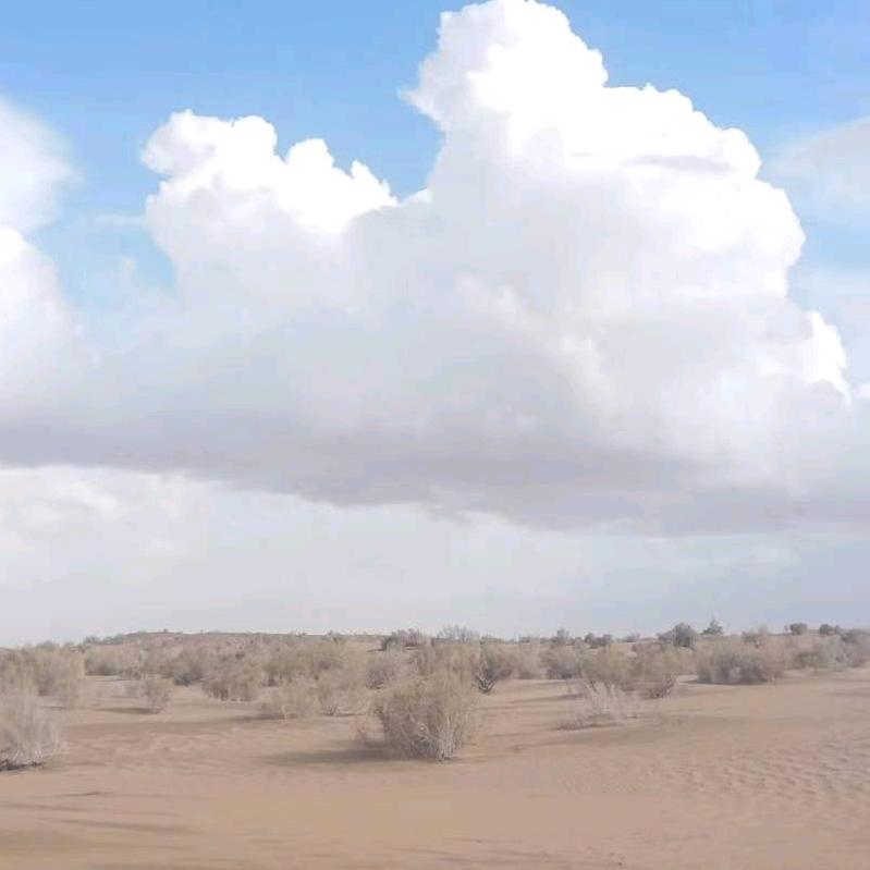 把土