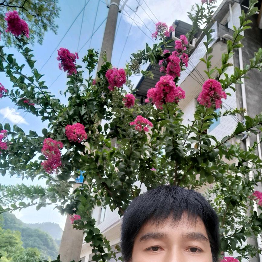 阿紫平安