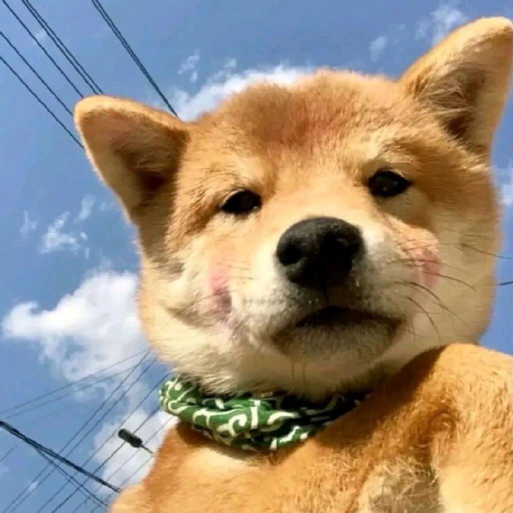 日落、月末