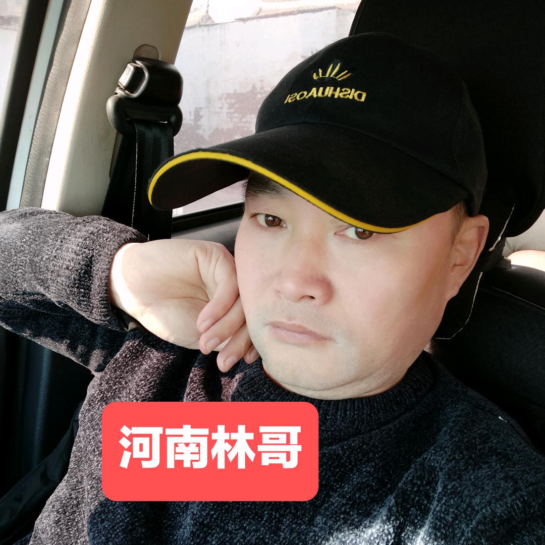 河南林哥（浪不够）