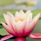 做个开心的抖音疯子