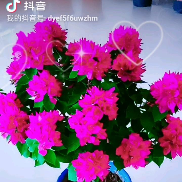平安幸福