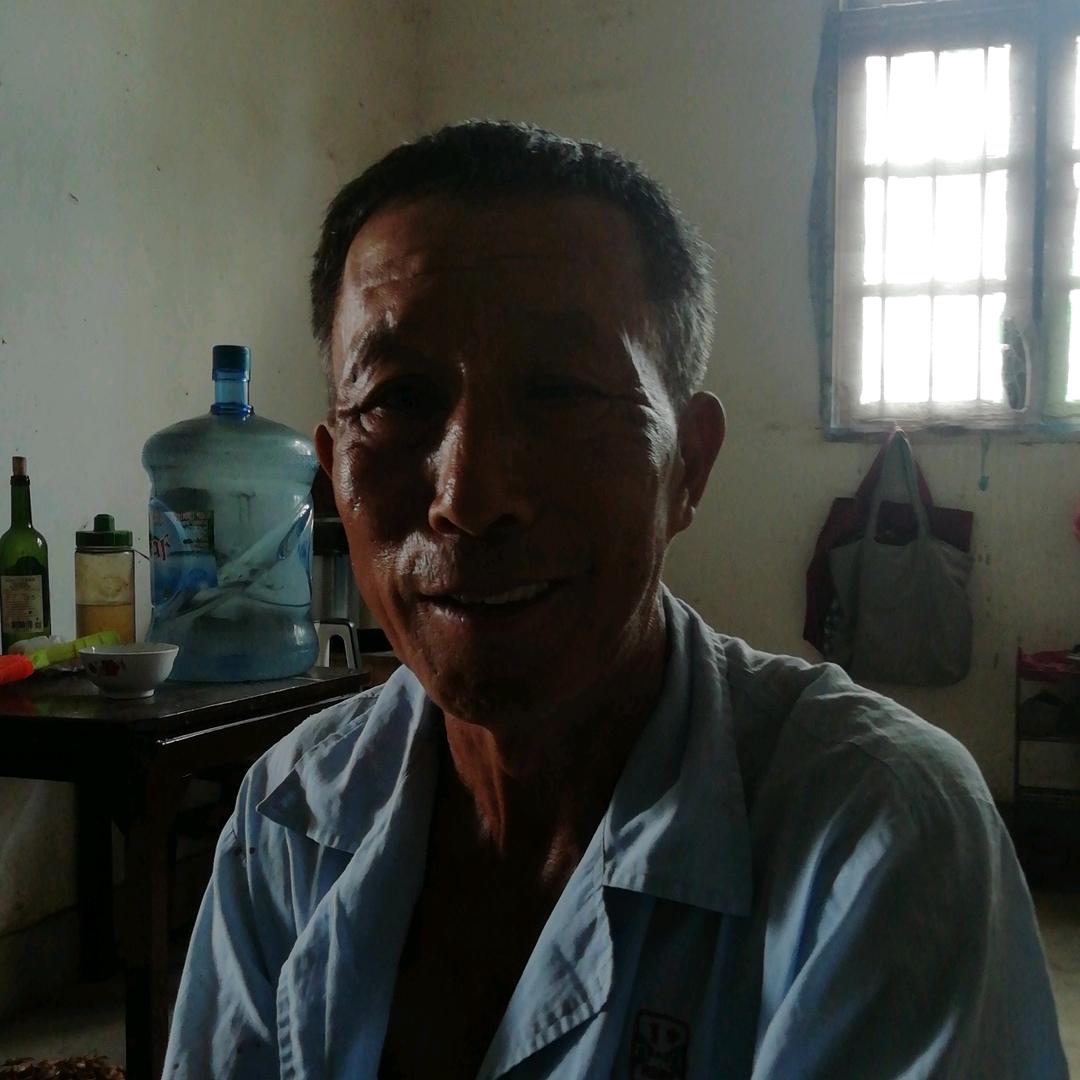 刘金发