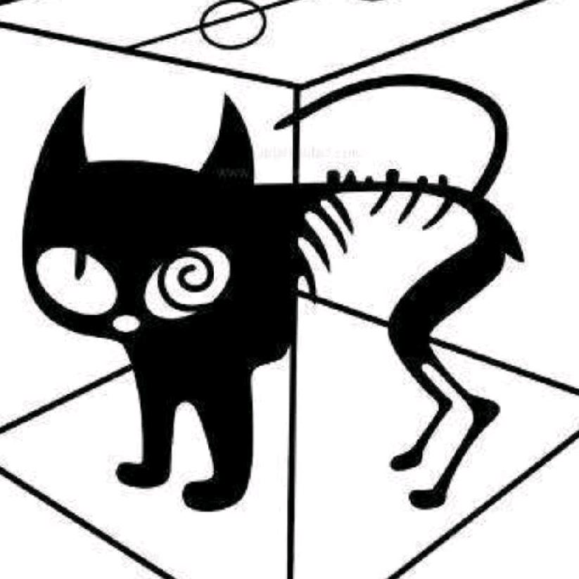 薛定谔的猫