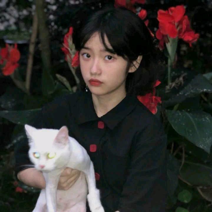 哒抹抹