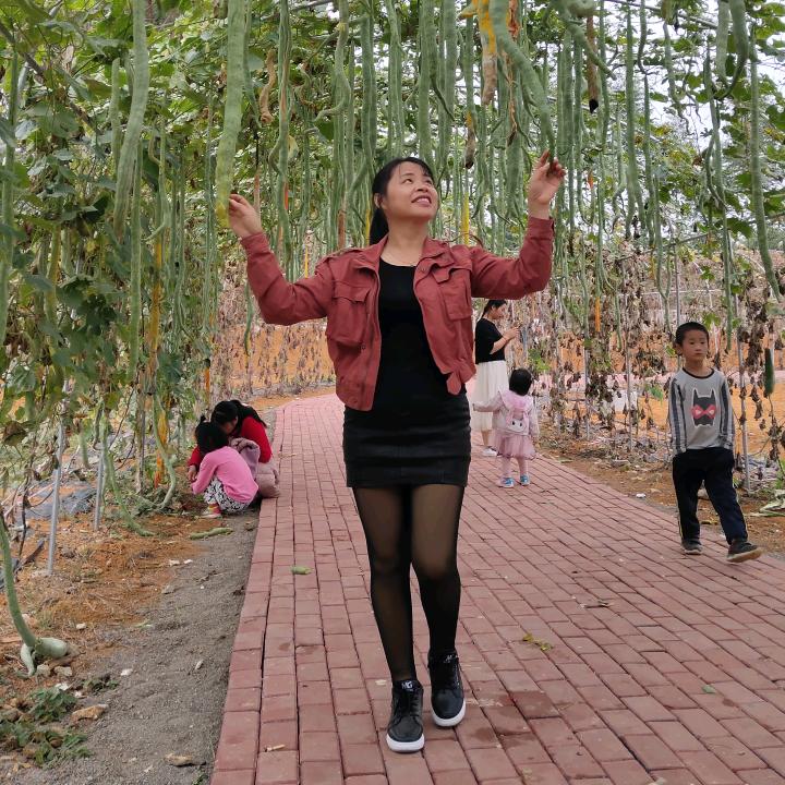 壮乡旅行记@抖音