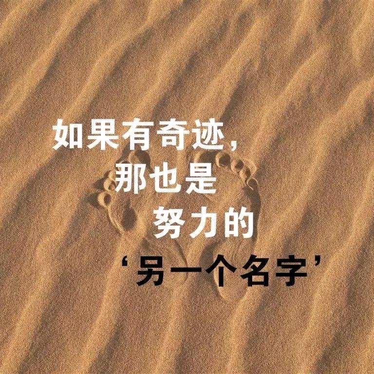 💫红梅千雪💫