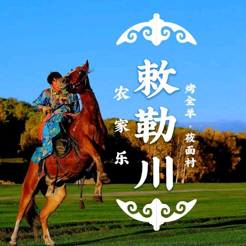 敕勒川观景民宿(中都草原店)官方号