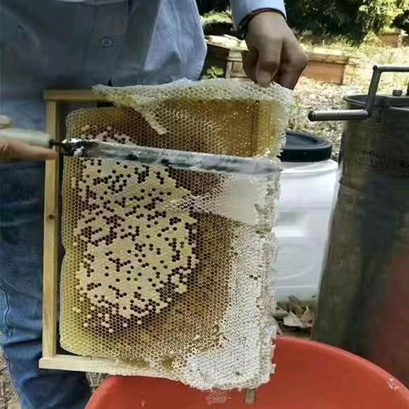 老高家蜂蜜