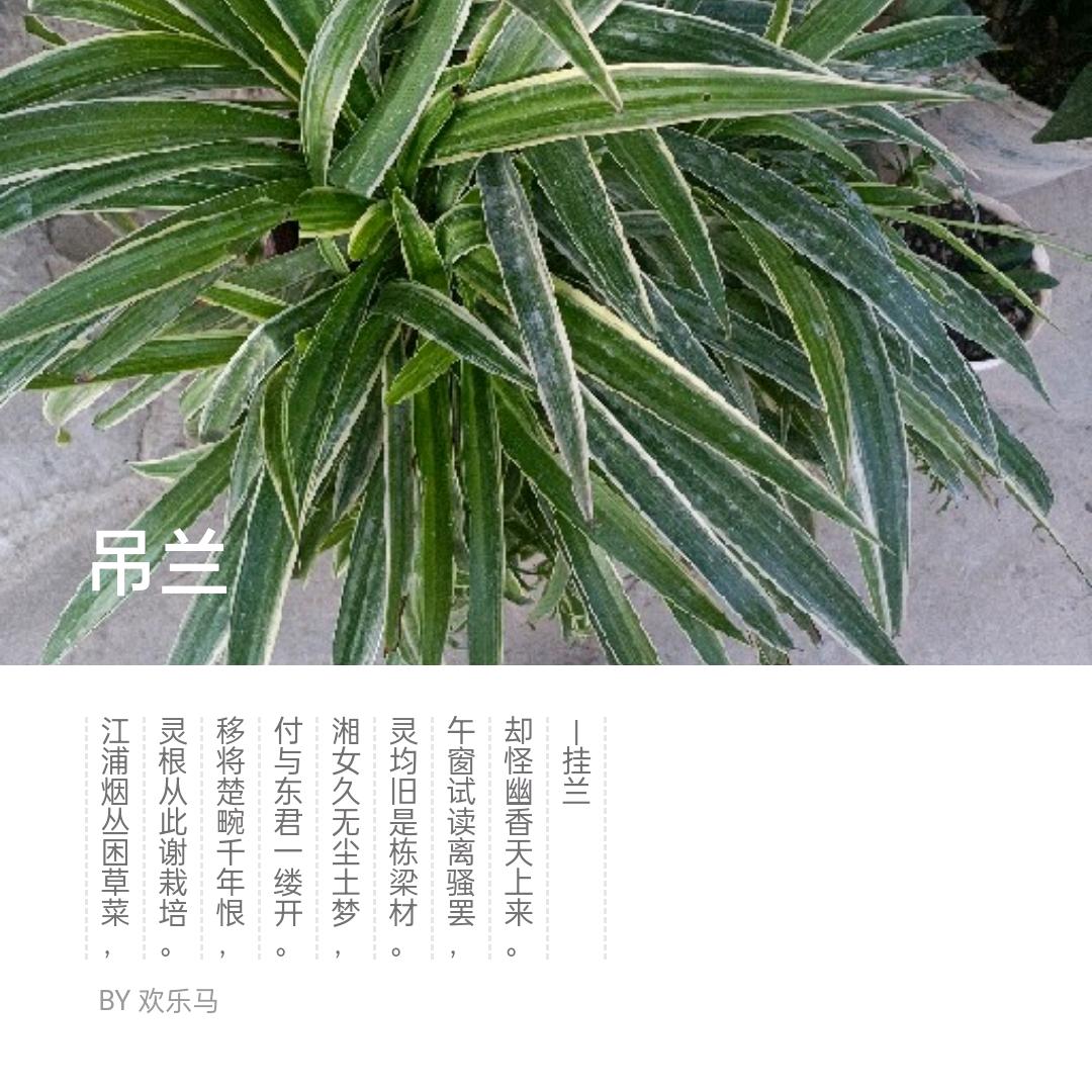 1539511173