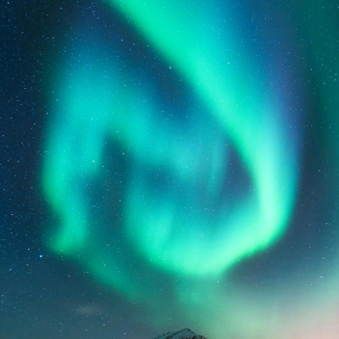 卖鸡鸭鹅鸽子鸽子蛋
