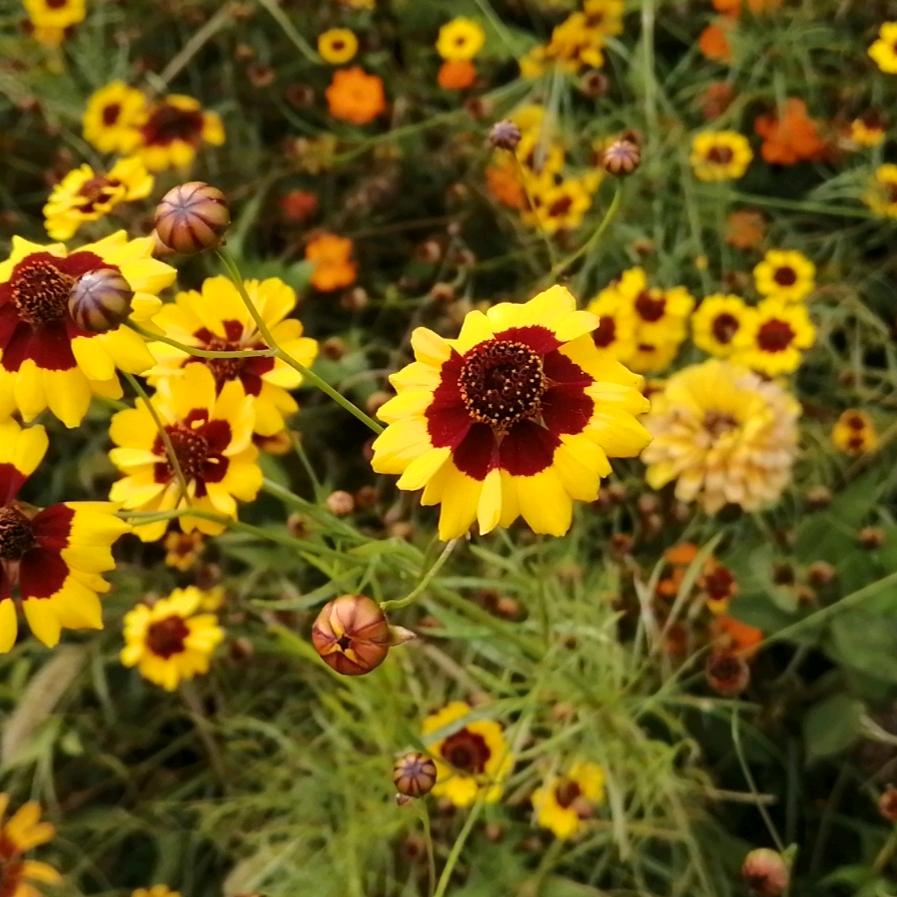 蓦然回首—明白了