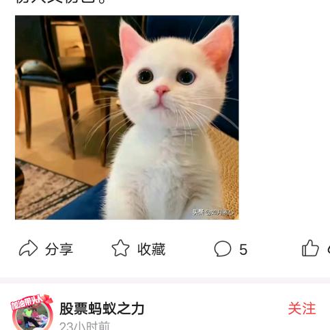 遗忘！梦已醒陌生人