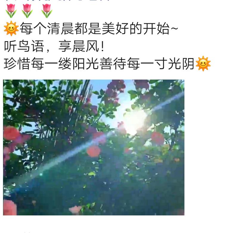 有缘相聚