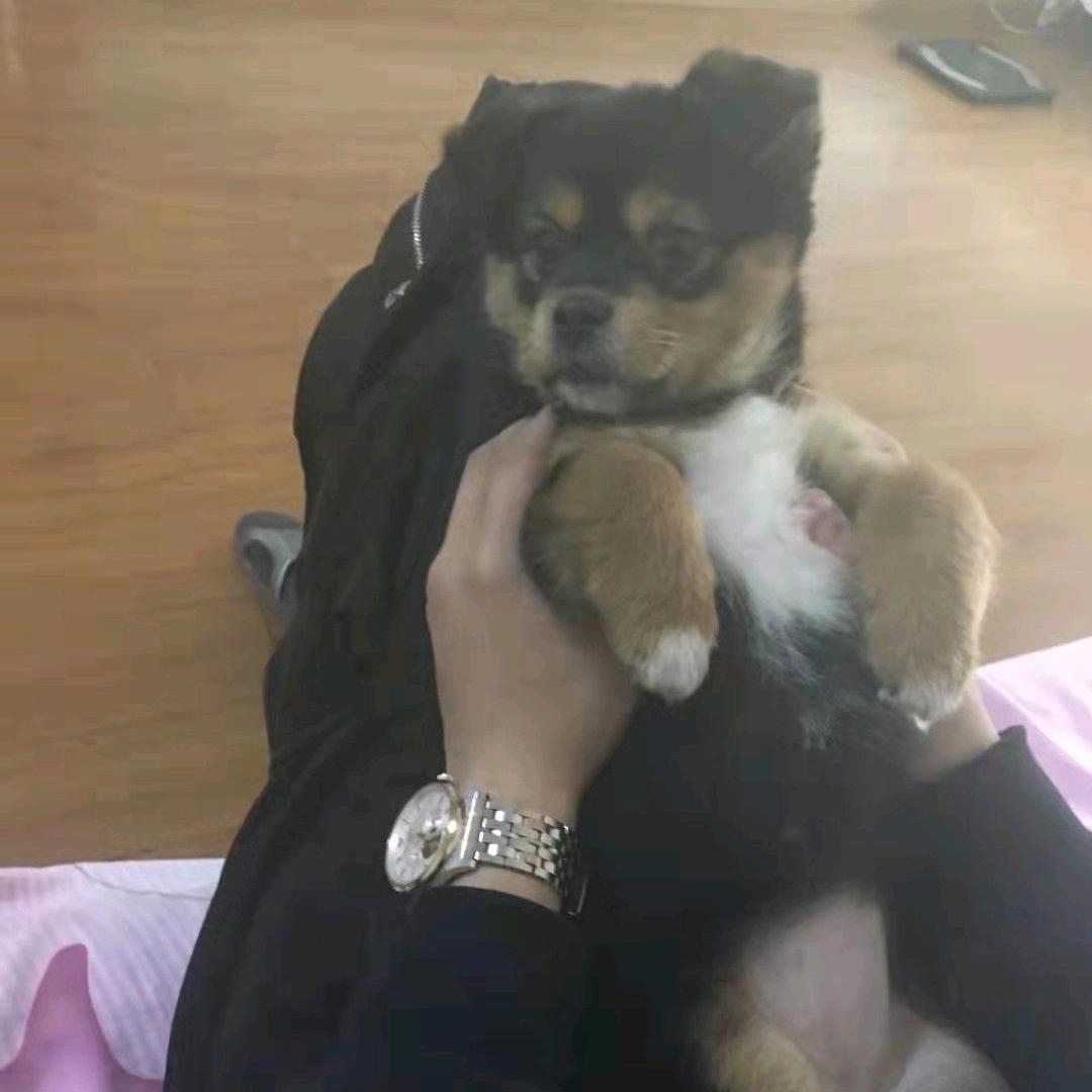 冰风往事