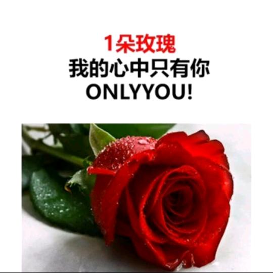 一夜不寂寞