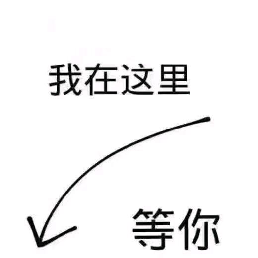 闯荡人生૮ ºﻌºა站岗