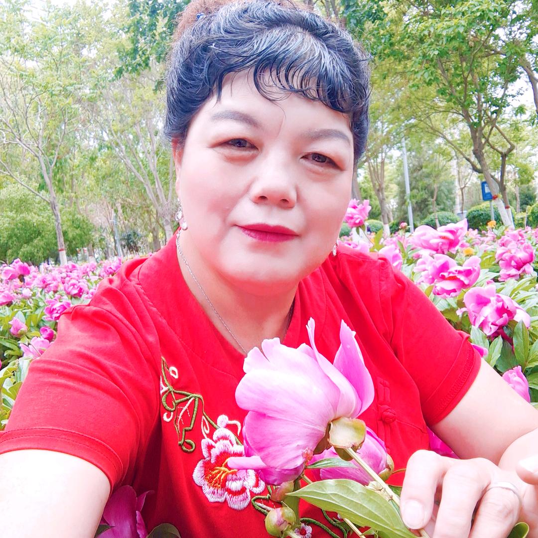 春梦如新