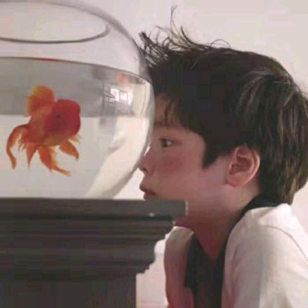 海波比