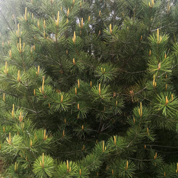 开开心心过好每一天