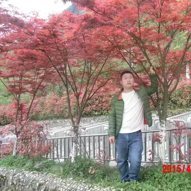 隆盛海尔专卖店