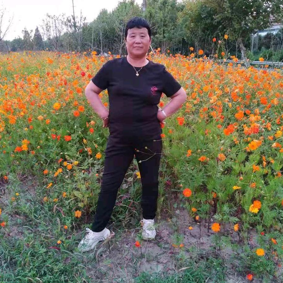 花儿