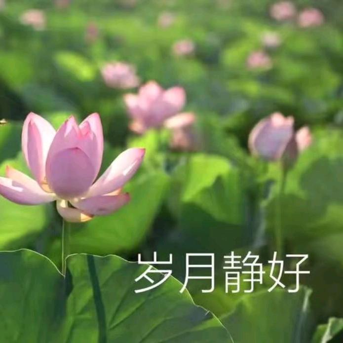 往事归零