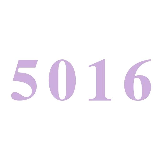 5016-AEgte sol出口睡袋